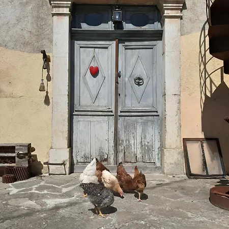 The Mill France- Near Millau בית הארחה Saint-Georges-de-Luzençon